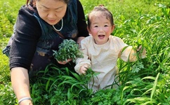 女士不遮阴内搭图片大全大图